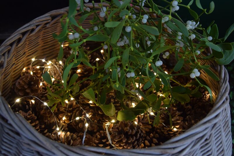 Eine hübsche Beleuchtung zaubert weihnachtliche Stimmung. (Foto: Bayerische Gartenakademie)