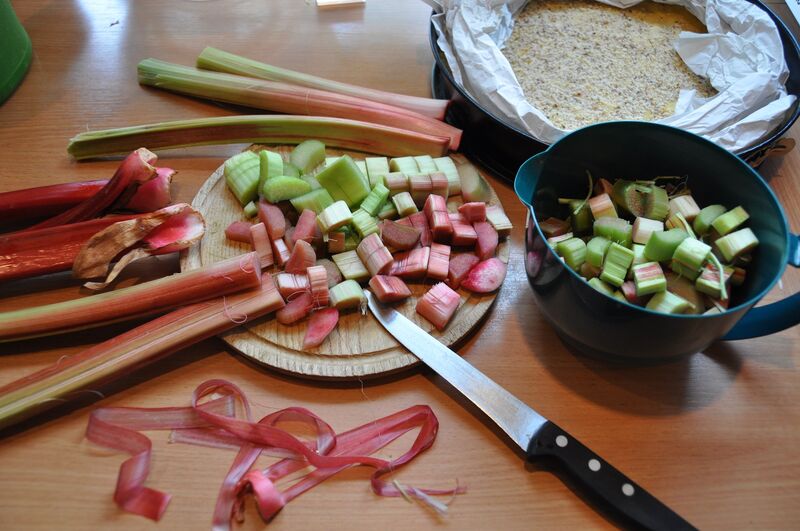 Rhabarber wird oft als Kuchenbelag und zur Herstellung von Fruchtaufstrichen verwendet. (Foto: Bayerische Gartenakademie)