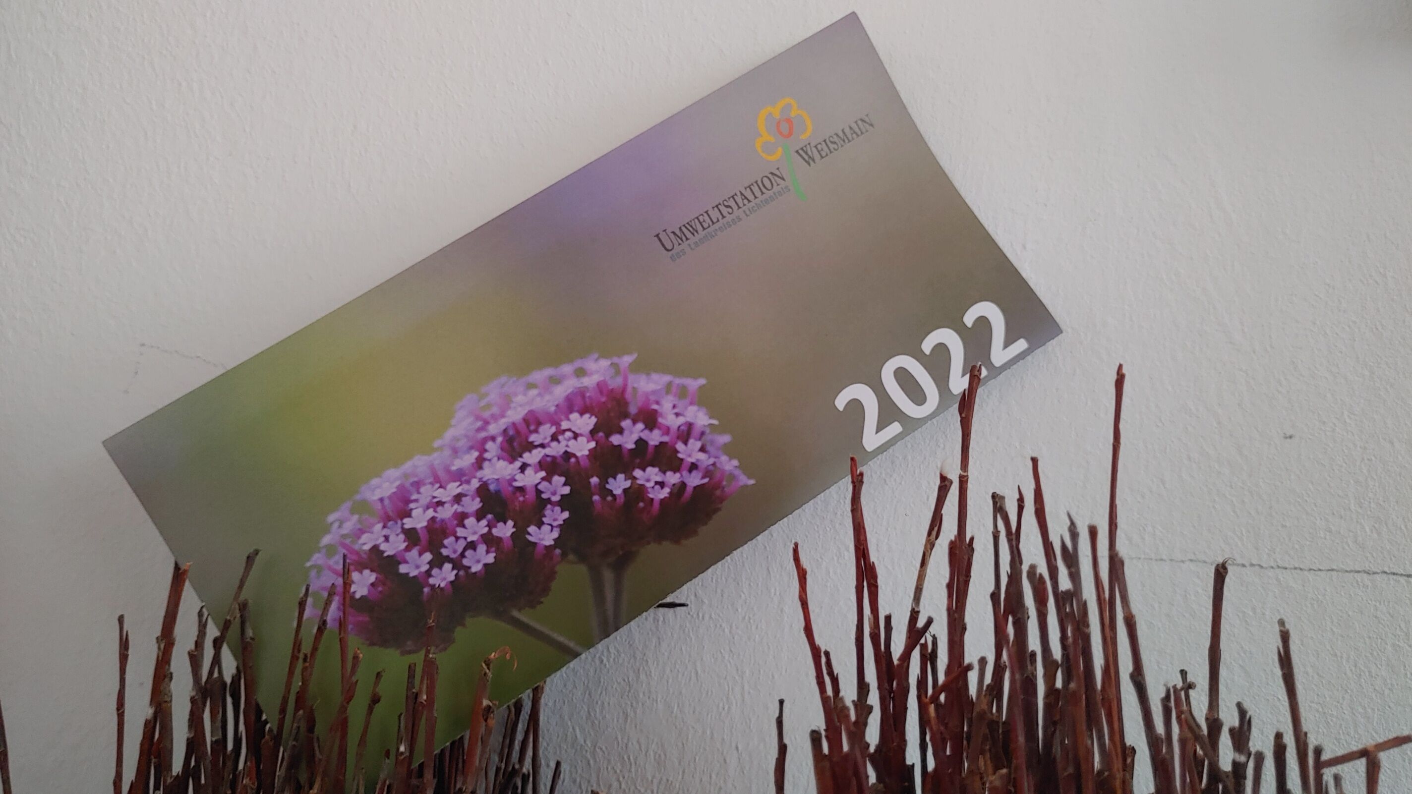 Das Themenspektrum ist breit gefächert: Die Umweltstation Weismain bietet für 2022 ein abwechslungsreiches Programm für alle Generationen an. Foto: Um