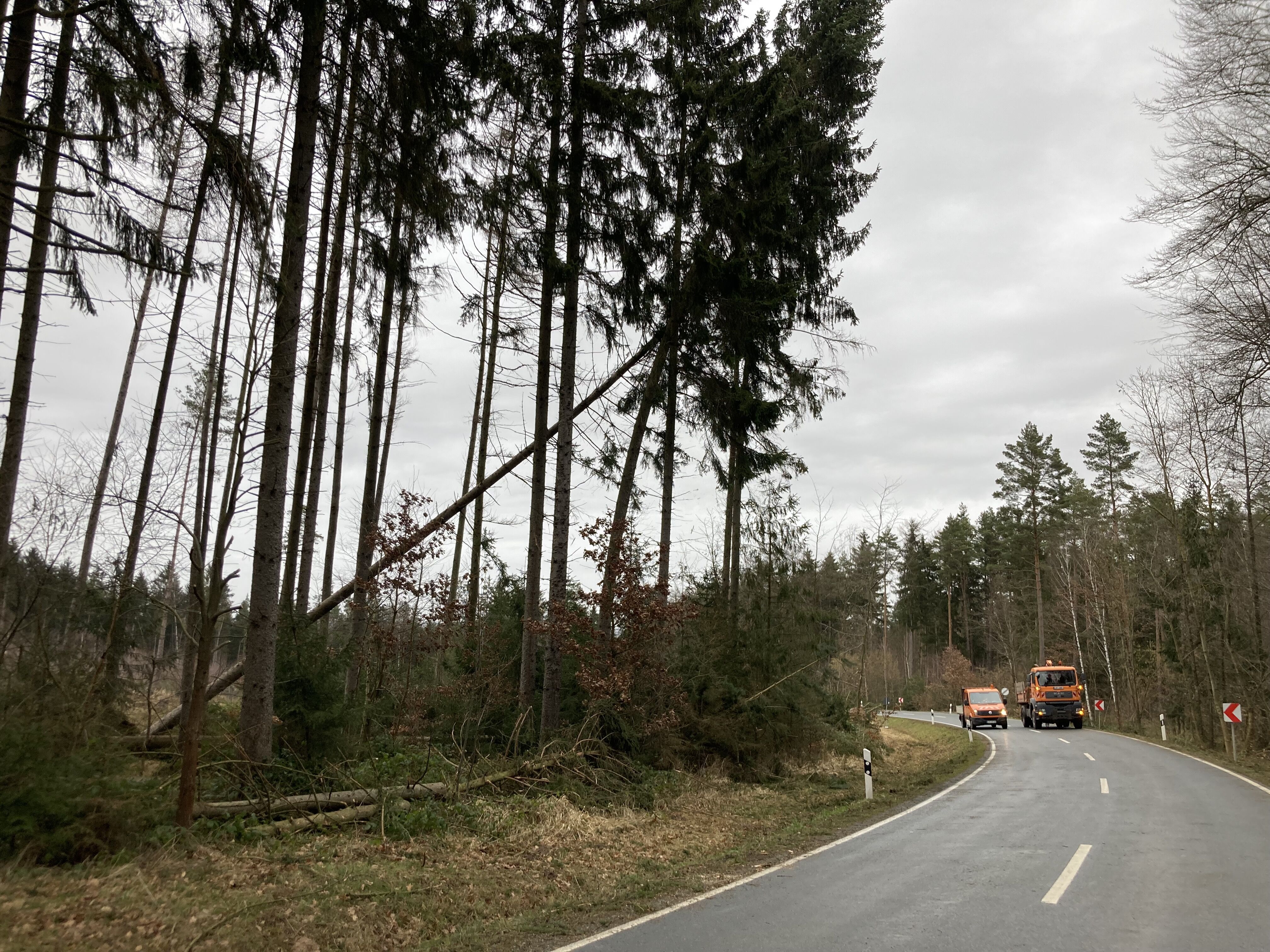 Um die sichere Beseitigung der Sturmschäden entlang der LIF23 gewährleisten zu können, wird die Kreisstraße zwischen Ebneth und Oberlangenstadt bis ei