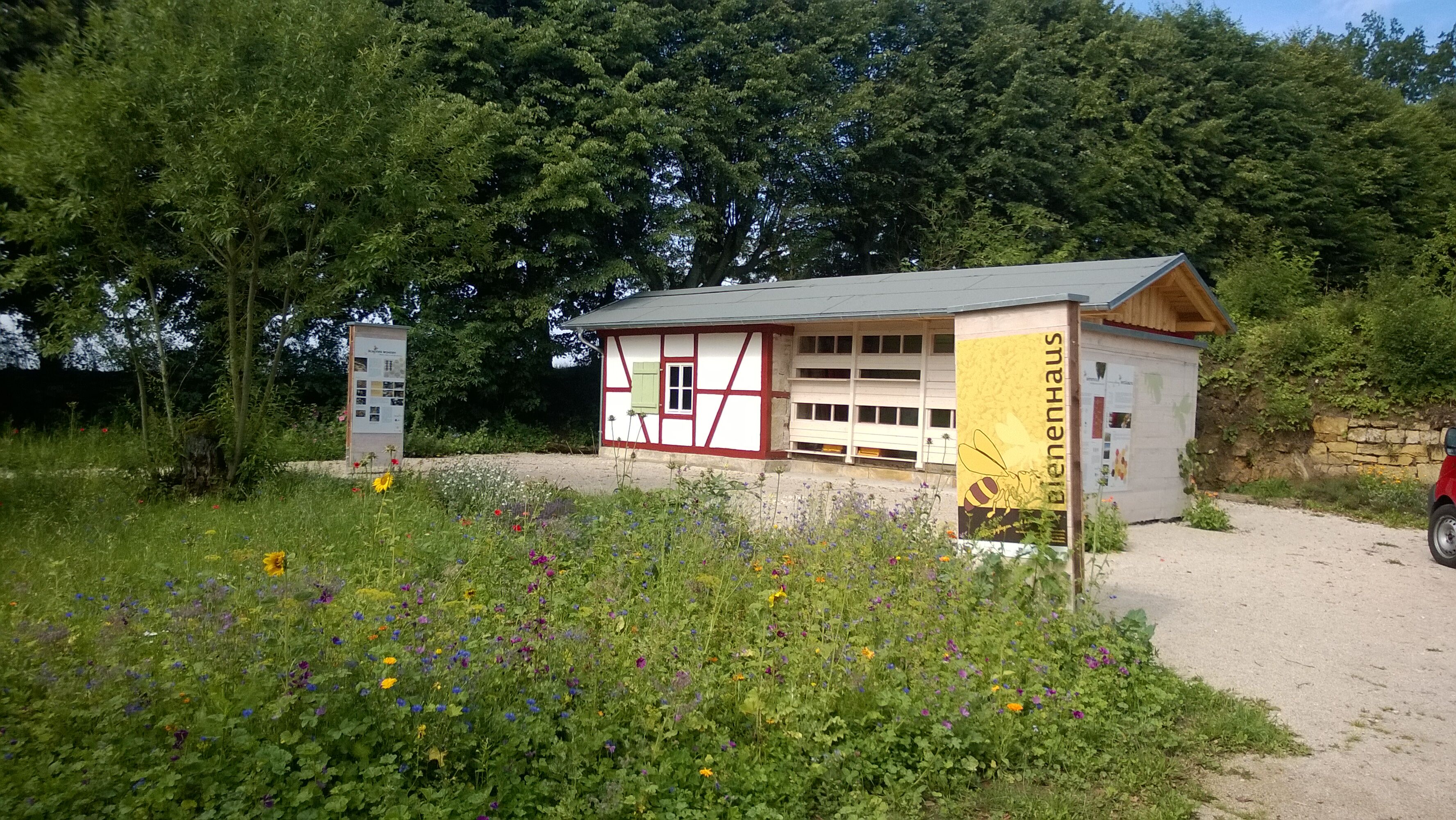 Die Umweltstation des Landkreises Lichtenfels in Weismain bietet wieder eine Führung am Bienenstand in Kloster Banz an.  Foto: Umweltstation Weismain/
