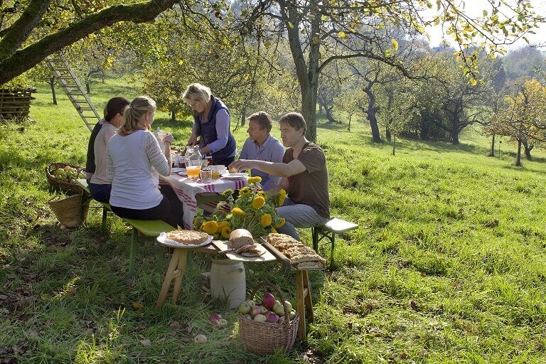 Nach der Expertenführung bei Kloster Banz folgt ein Besuch auf der Streuobstwiese mit einem gemeinsamen Apfel-Picknick. Foto: Landratsamt Lichtenfels/