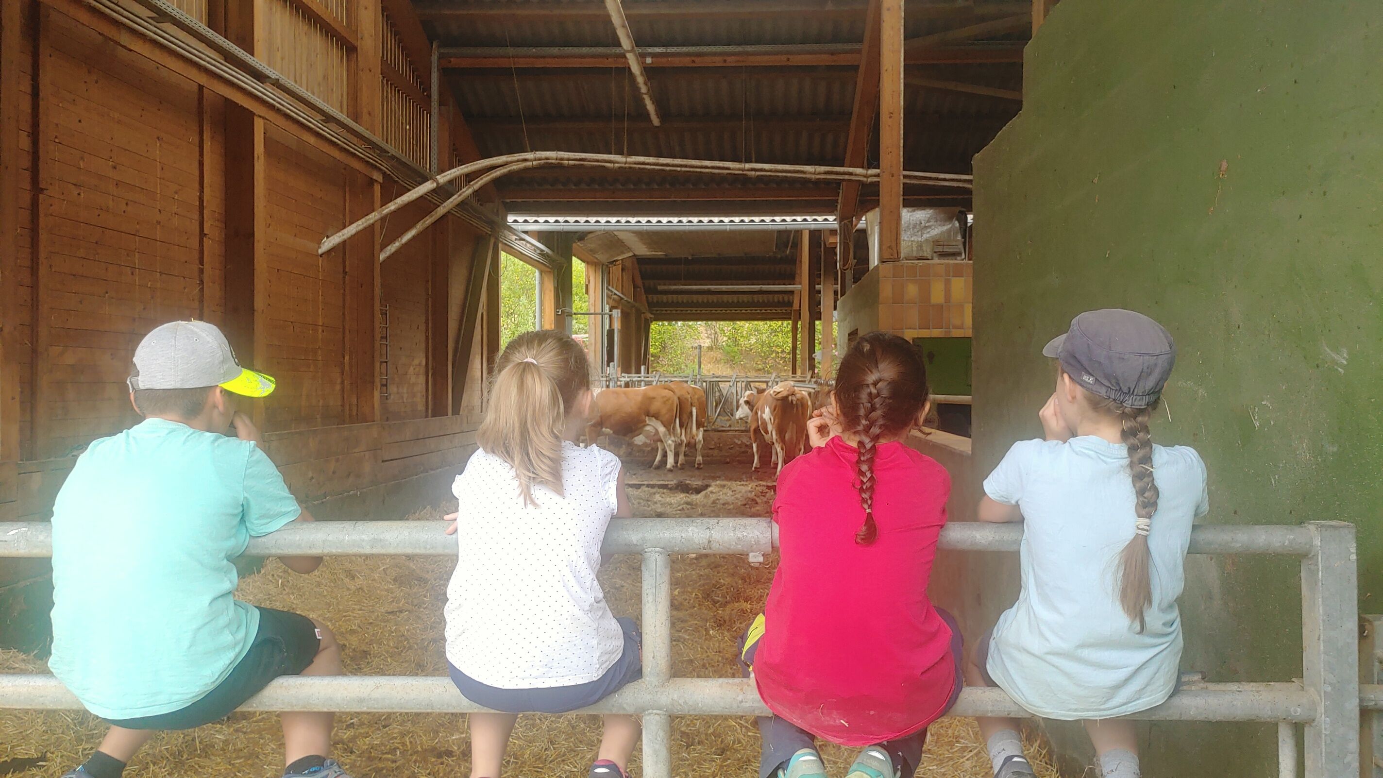 Die Umweltstation Weismain bietet wieder eine Ferienwoche für Kinder in Kösten an. Foto: Jennifer Thiem