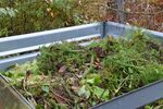 Miniaturbild zu:Gartentipp 12-2021: Dünger durch Recycling
